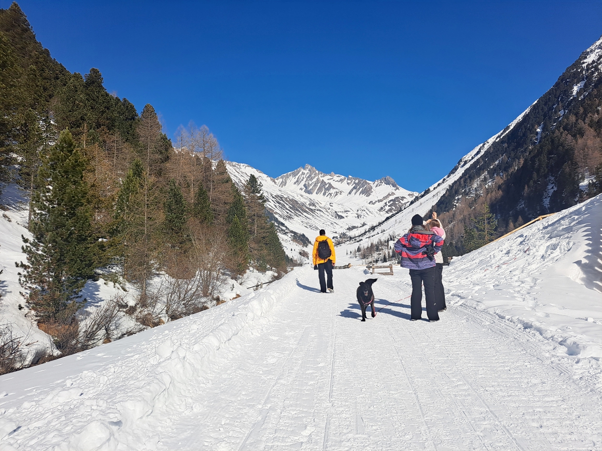 Winterwandern zur Knuttenalm