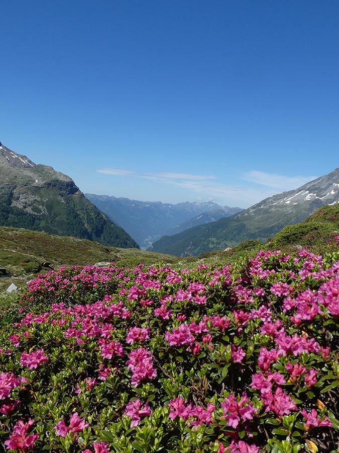 Sommerurlaub im Rein