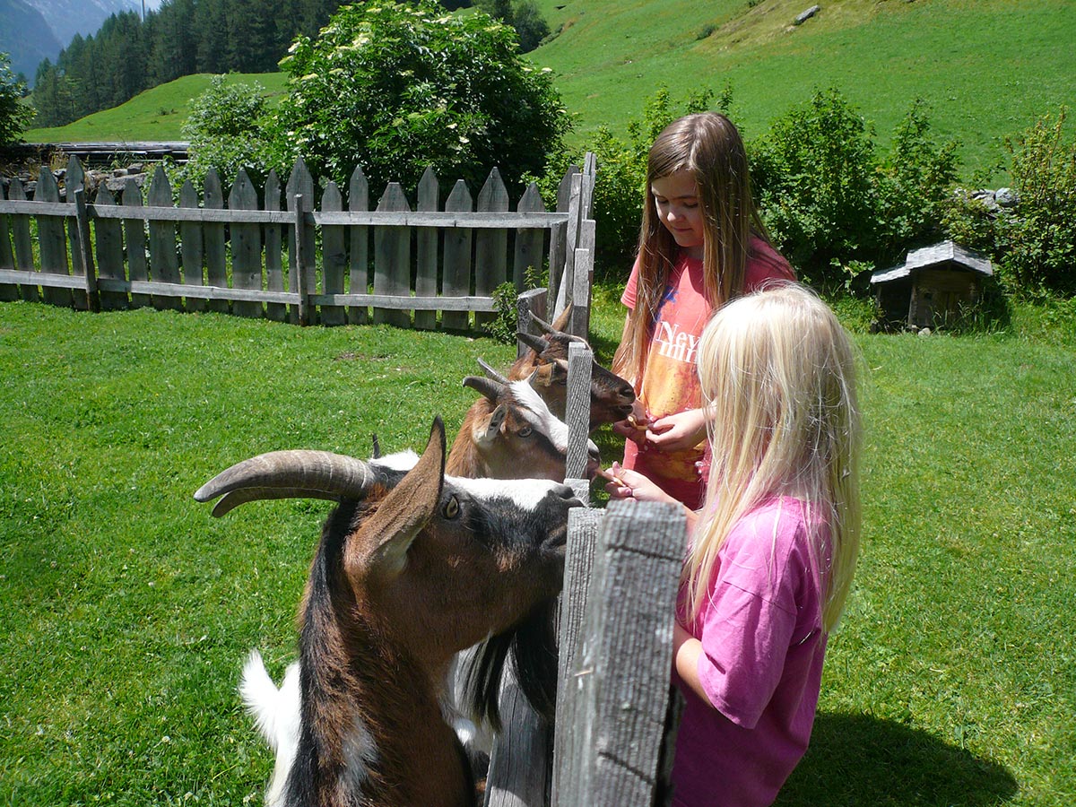 Kinder und Tiere am Hof