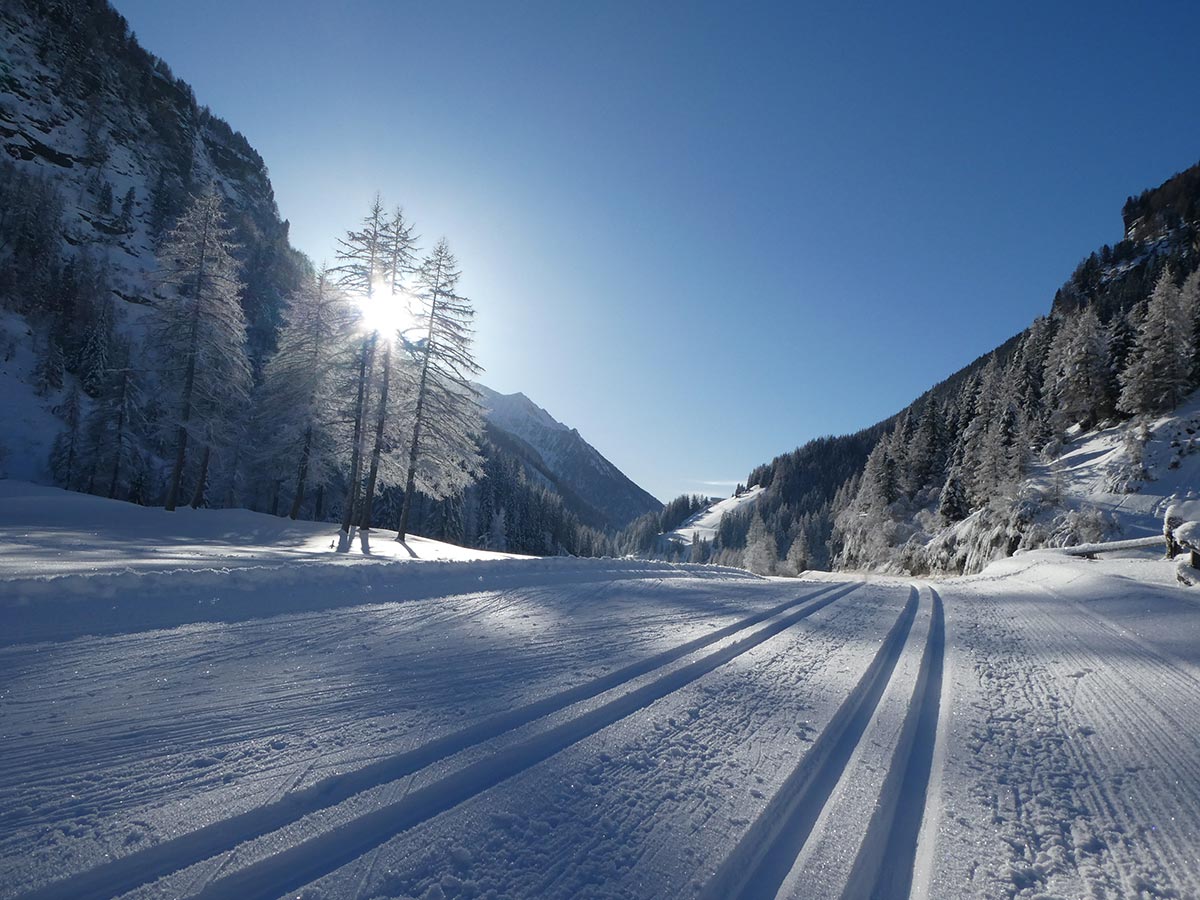 Langlaufen in Rein
