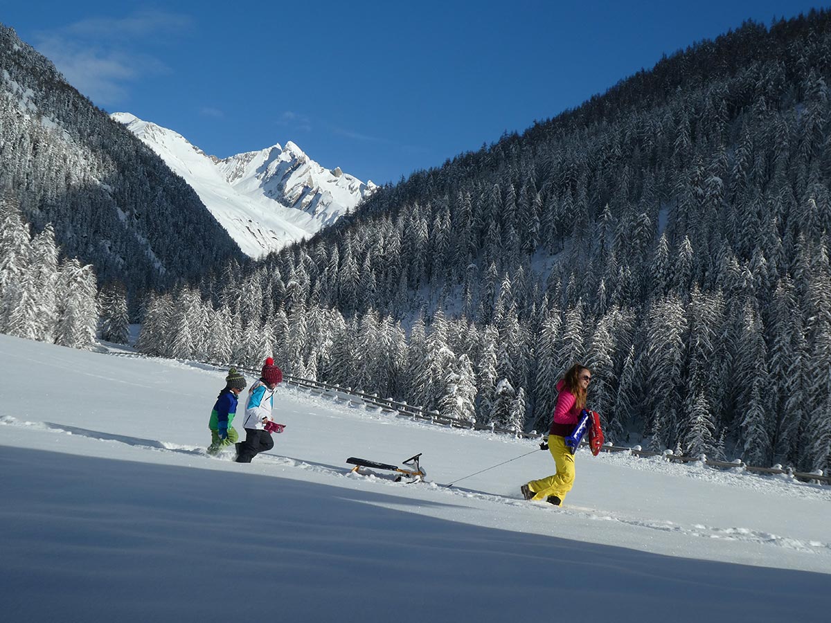 Rodeln im Winter