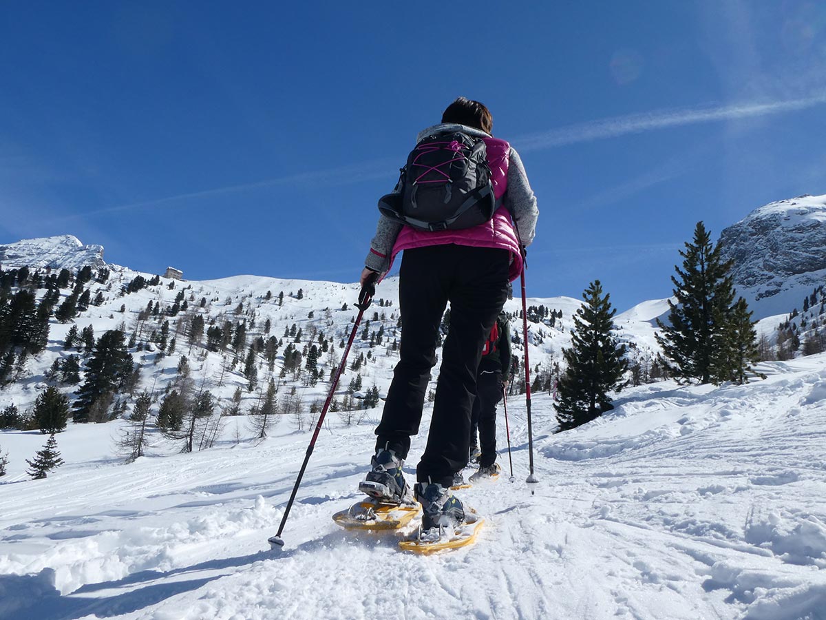 Schneeschuhwandern in Rein